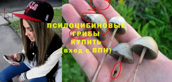 эйфоретик Аркадак