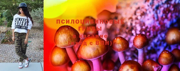 прущая мука Арсеньев