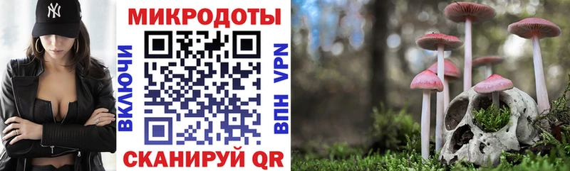 Галлюциногенные грибы MAGIC MUSHROOMS  mega маркетплейс  Куса  цена  